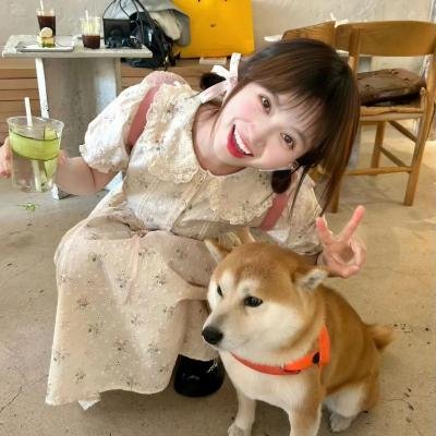 江湖四霸王