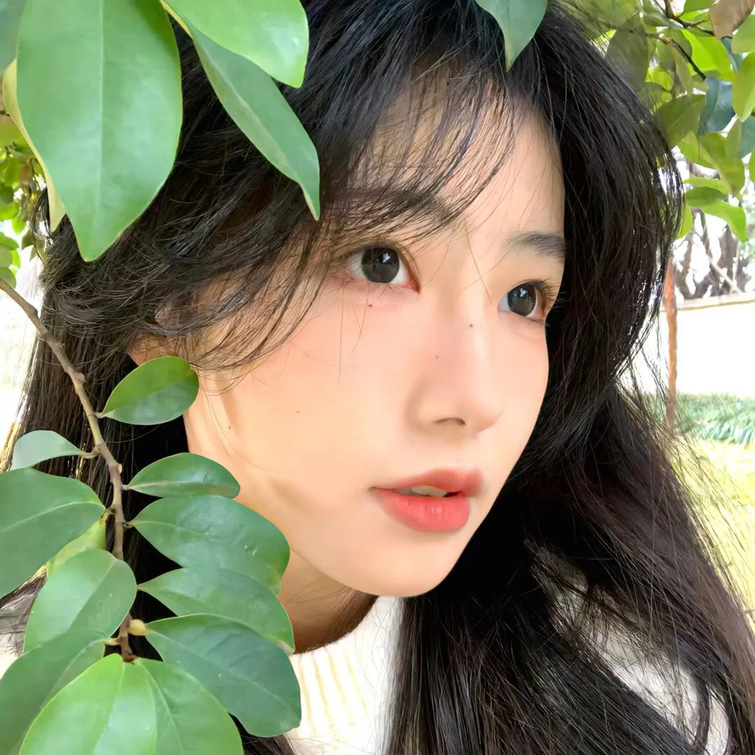 骚狐狸